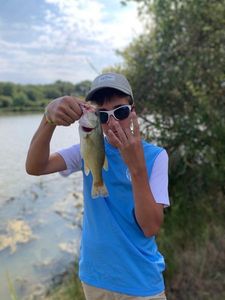 Smallmouth Bass