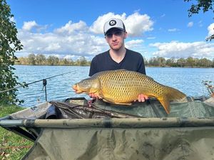 Common Carp