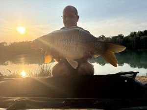 Common Carp