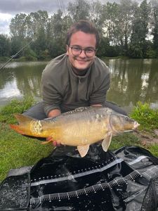 Mirror Carp