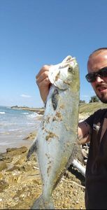 Leerfish (Garrick)