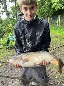 Common Carp