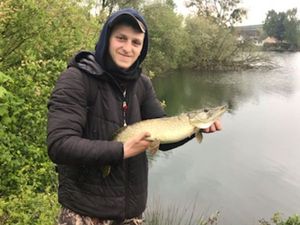 Northern Pike