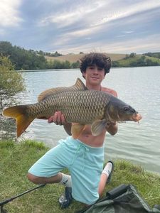 Common Carp