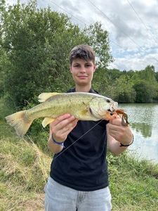 Largemouth Bass