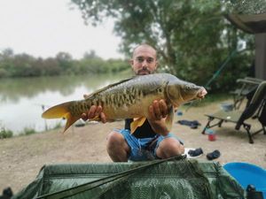 Mirror Carp