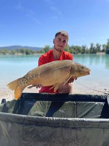 Mirror Carp