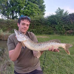 Northern Pike