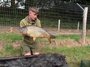 Common Carp