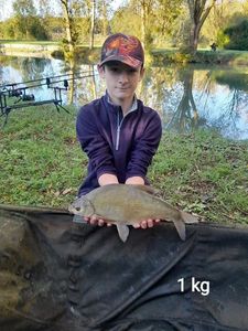Common Bream