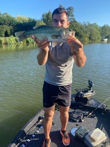 Largemouth Bass
