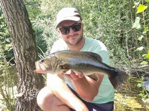 Largemouth Bass