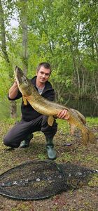 Northern Pike