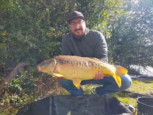 Mirror Carp