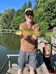 Tench