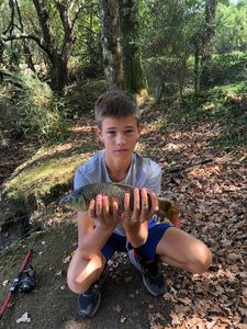 Leather Carp