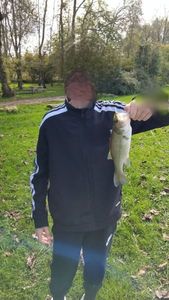 Largemouth Bass