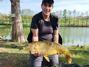 Mirror Carp
