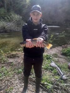 Grayling
