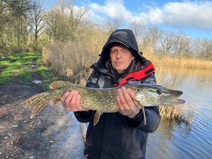Northern Pike
