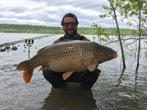 Common Carp