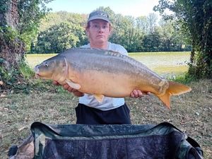 Mirror Carp