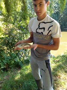Barbel