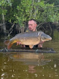 Mirror Carp