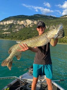 Northern Pike
