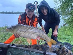 Common Carp