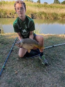 Mirror Carp