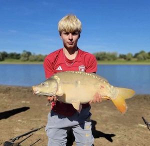 Mirror Carp