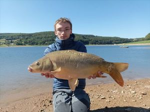 Mirror Carp