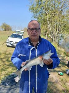 Zander