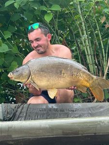 Mirror Carp