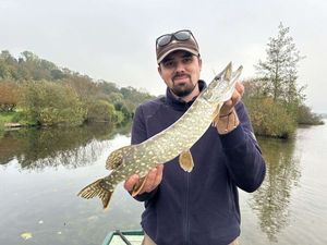 Northern Pike