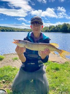 Northern Pike
