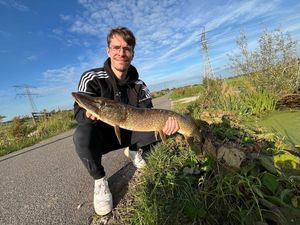 Northern Pike