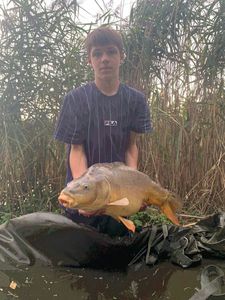 Leather Carp