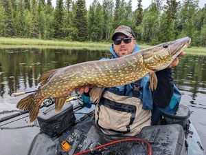 Northern Pike