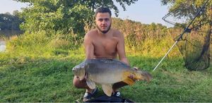 Mirror Carp