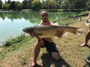 Silver Carp