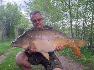Mirror Carp