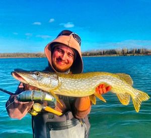 Northern Pike