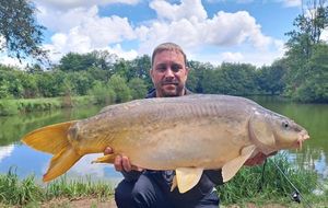 Mirror Carp