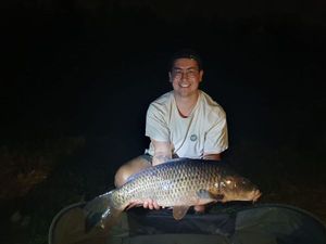 Common Carp