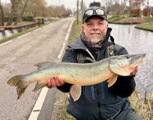 Northern Pike