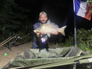 Common Carp