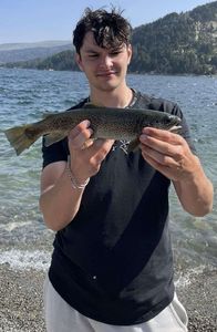 Rainbow Trout