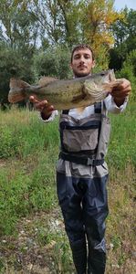 Largemouth Bass